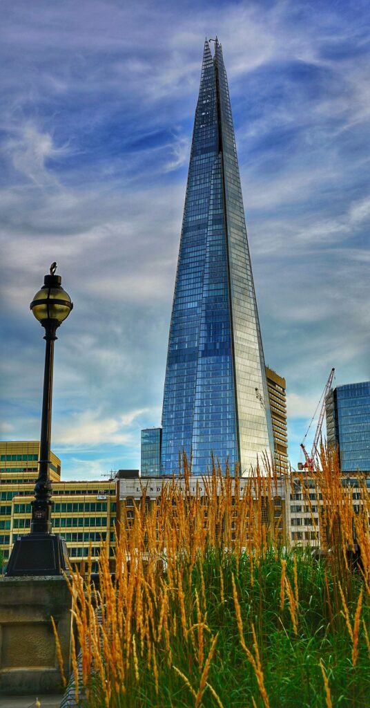 Tower cranes 